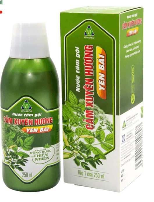 Nước tắm gội Cảm Xuyên Hương Yên Bái